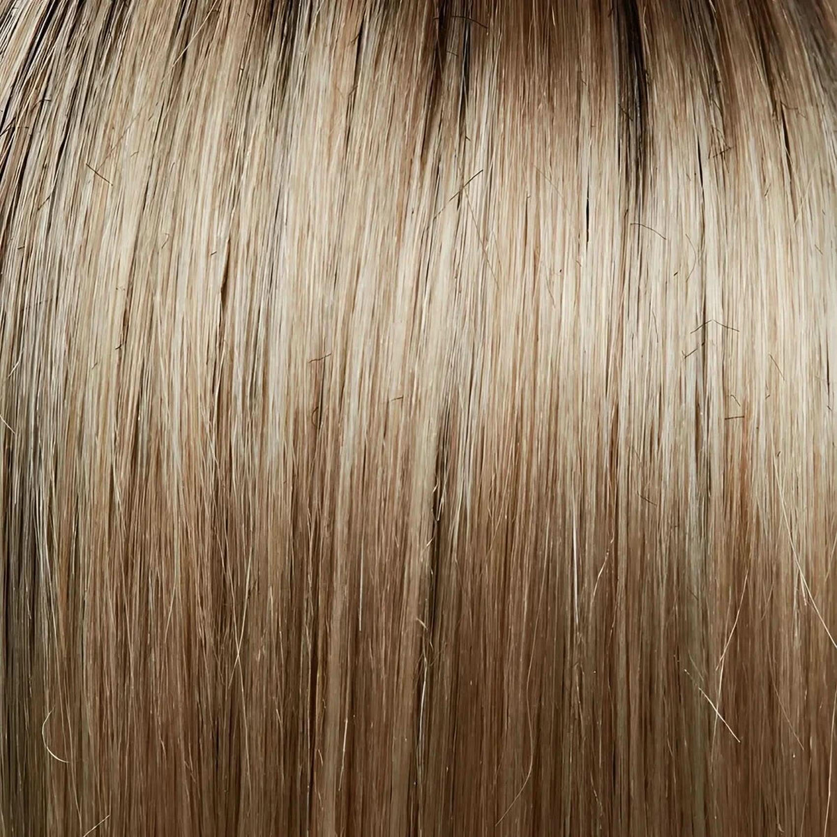 Gisela Mayer Cloud (Standard) Champagne Rooted (14 88+8)