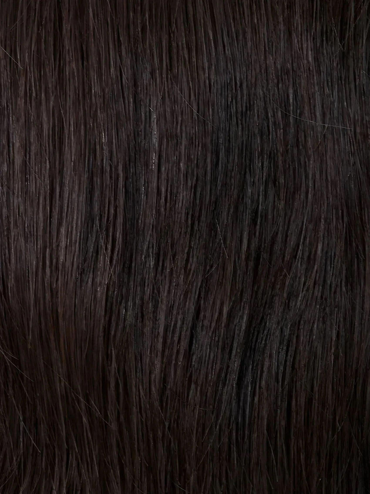 Gisela Mayer Luxery Lace H Cappuccino (4)