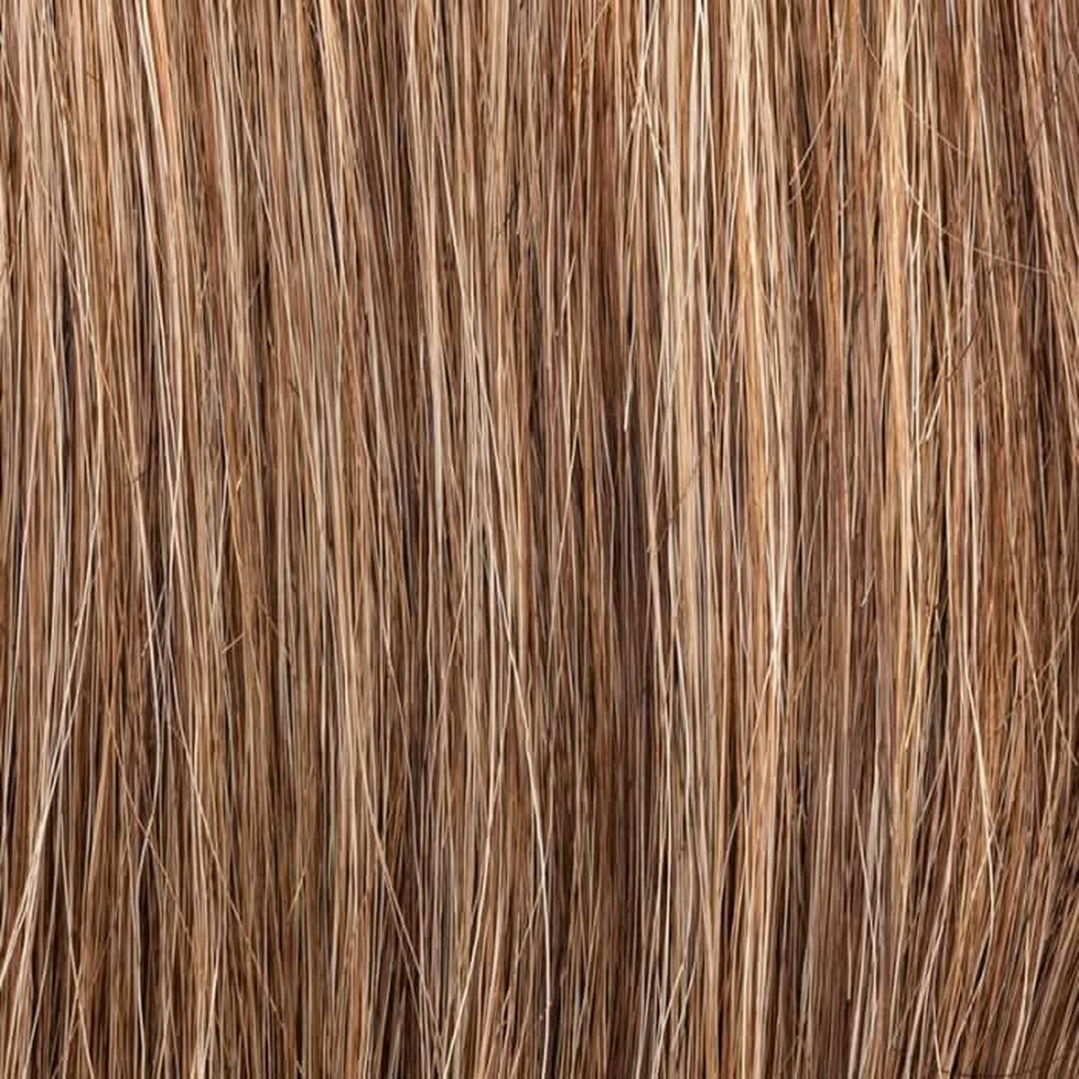 Ellen Wille Add In bernstein rooted