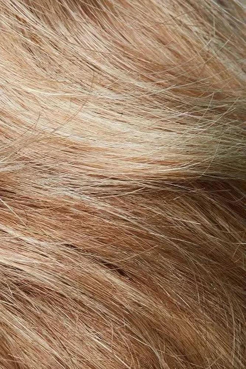 Gisela Mayer Venus Lace HH 12 14 16