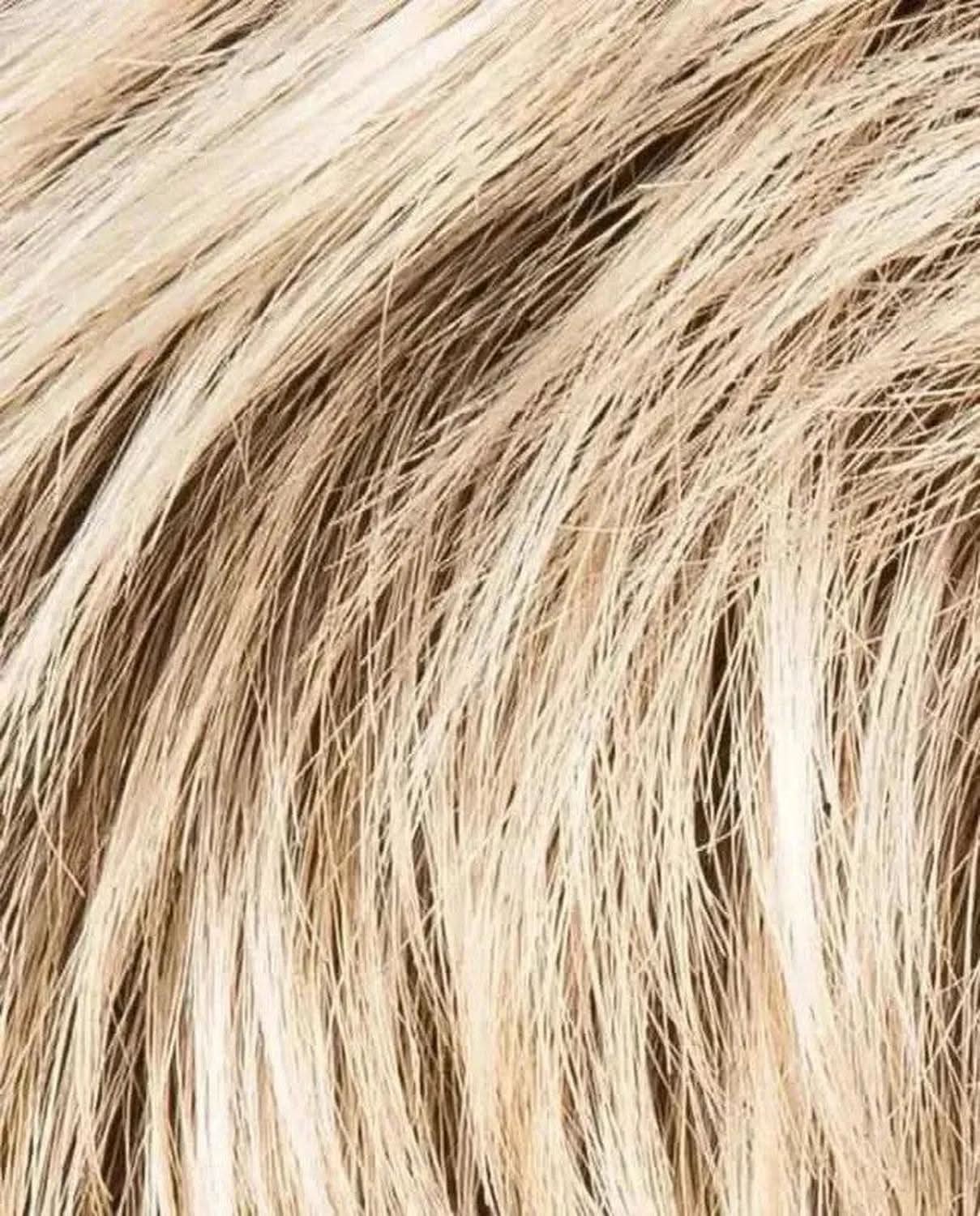 Ellen Wille Debbie champagne rooted