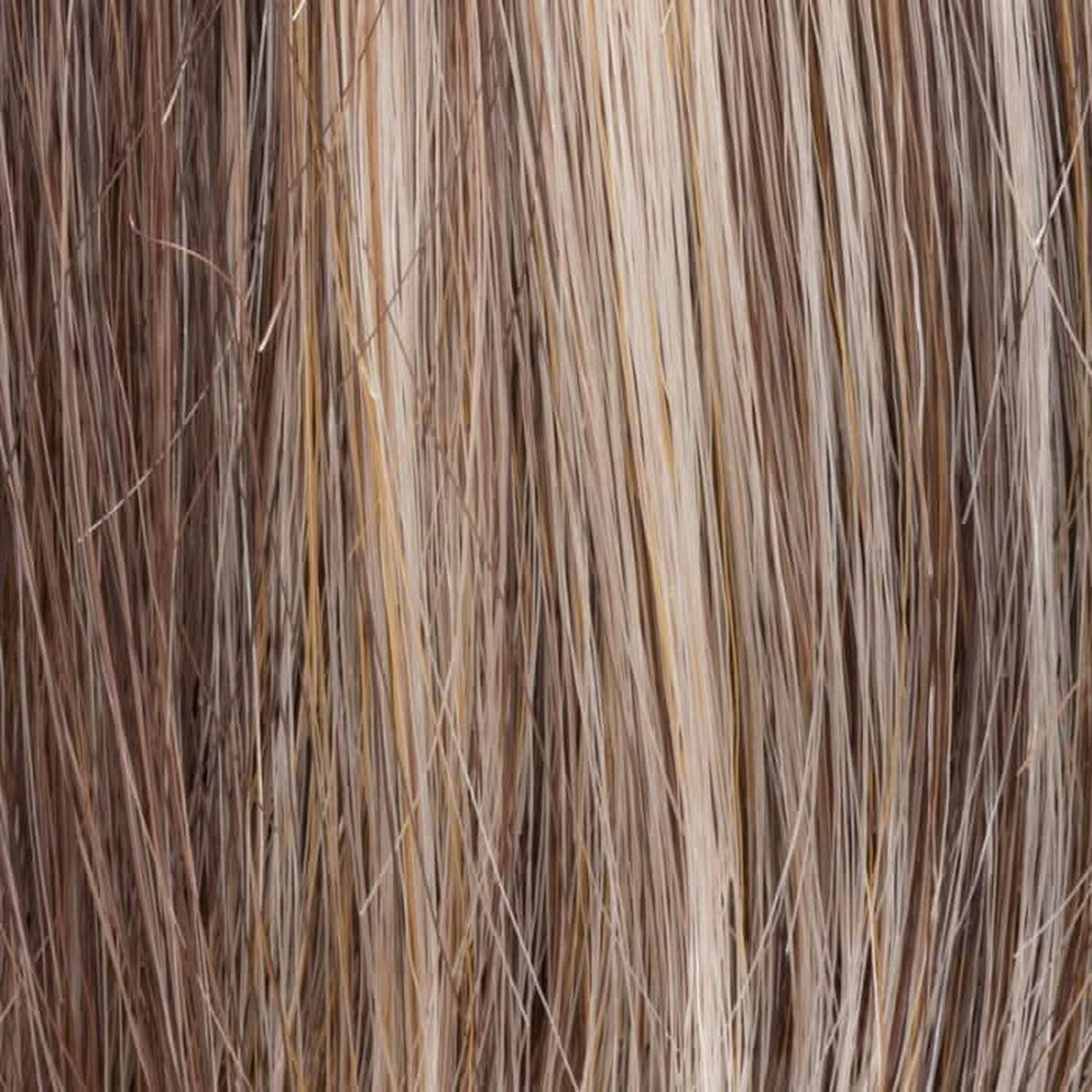 Ellen Wille Lace Top bernstein rooted