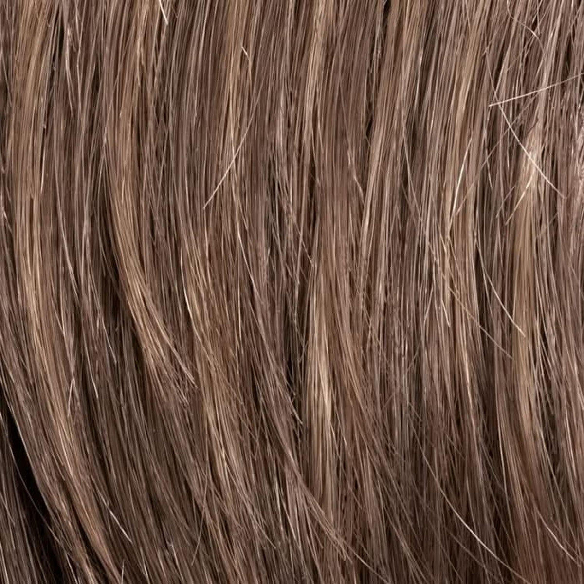 Ellen Wille Brian M17S