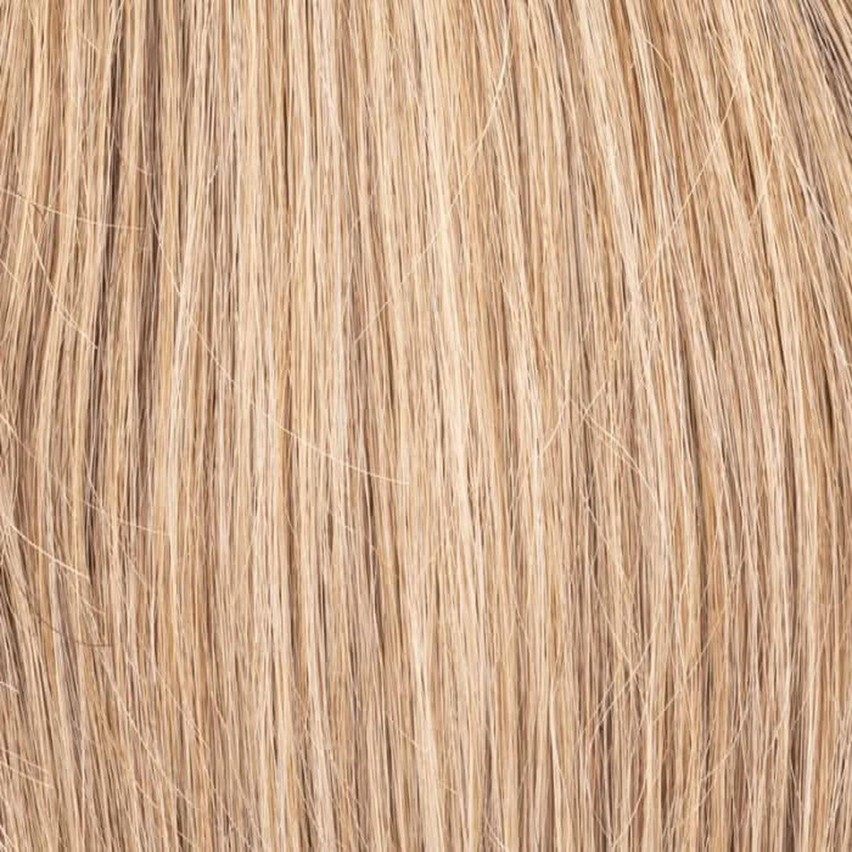 Ellen Wille Magic lightbernsetin rooted