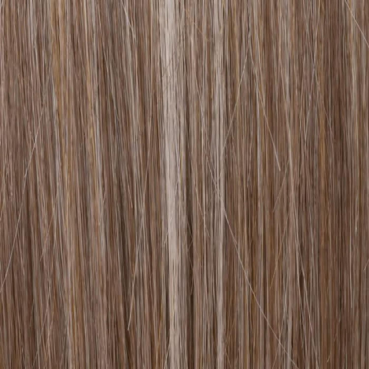 Ellen Wille Stream bernstein rooted